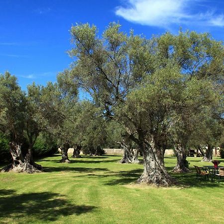 Olivastro Villa Lefkáda Dış mekan fotoğraf