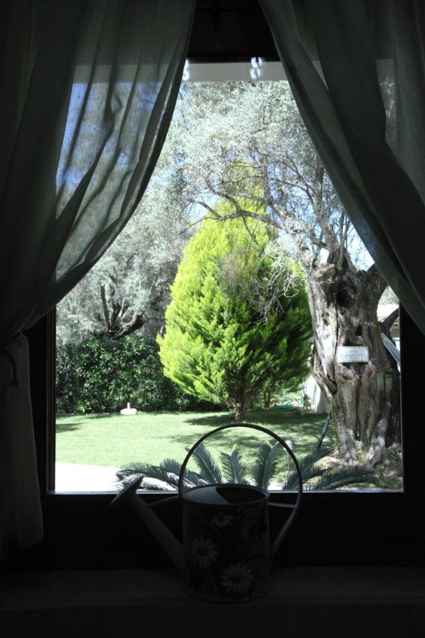 Olivastro Villa Lefkáda Dış mekan fotoğraf