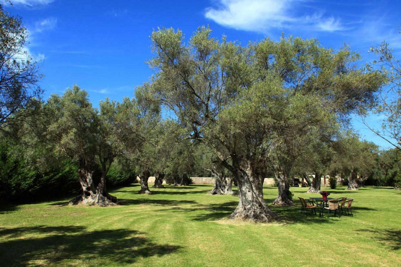 Olivastro Villa Lefkáda Dış mekan fotoğraf