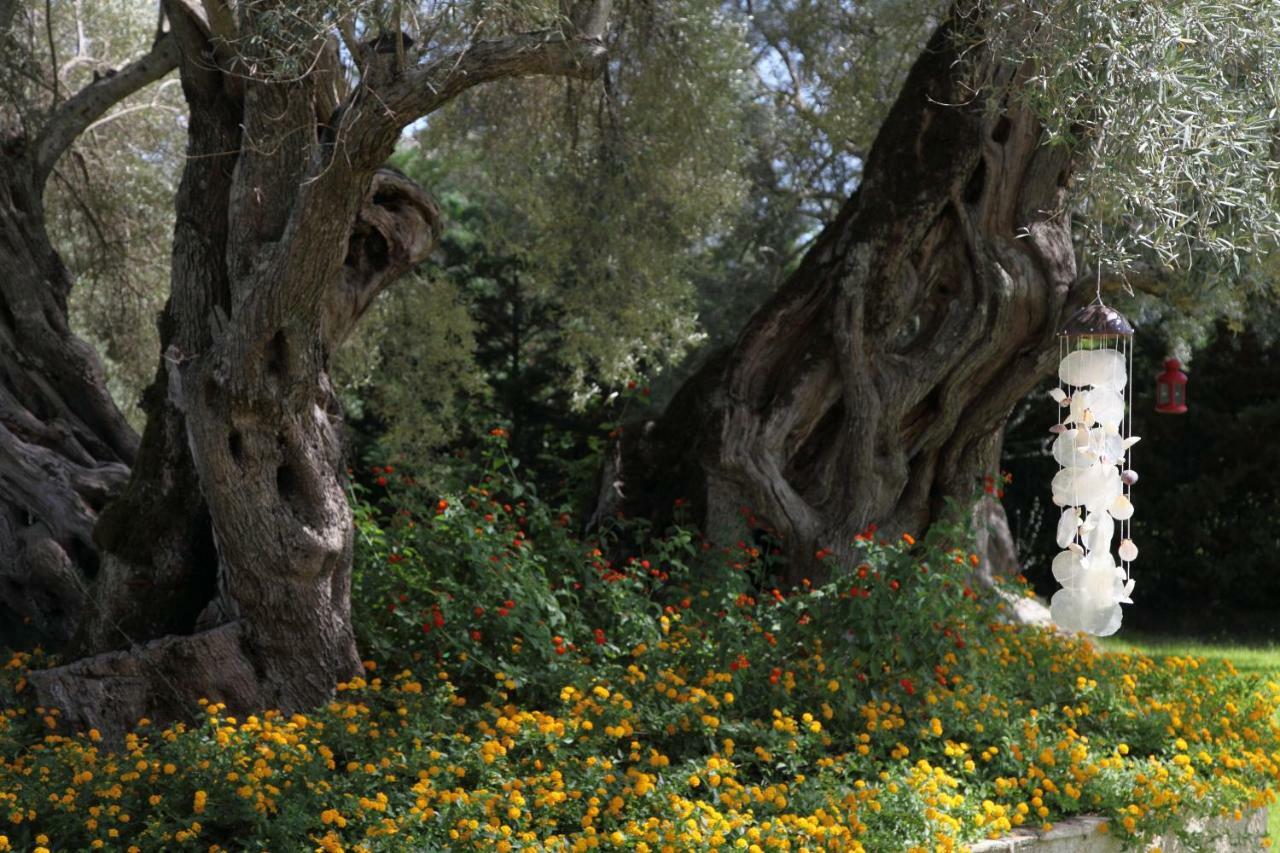 Olivastro Villa Lefkáda Dış mekan fotoğraf